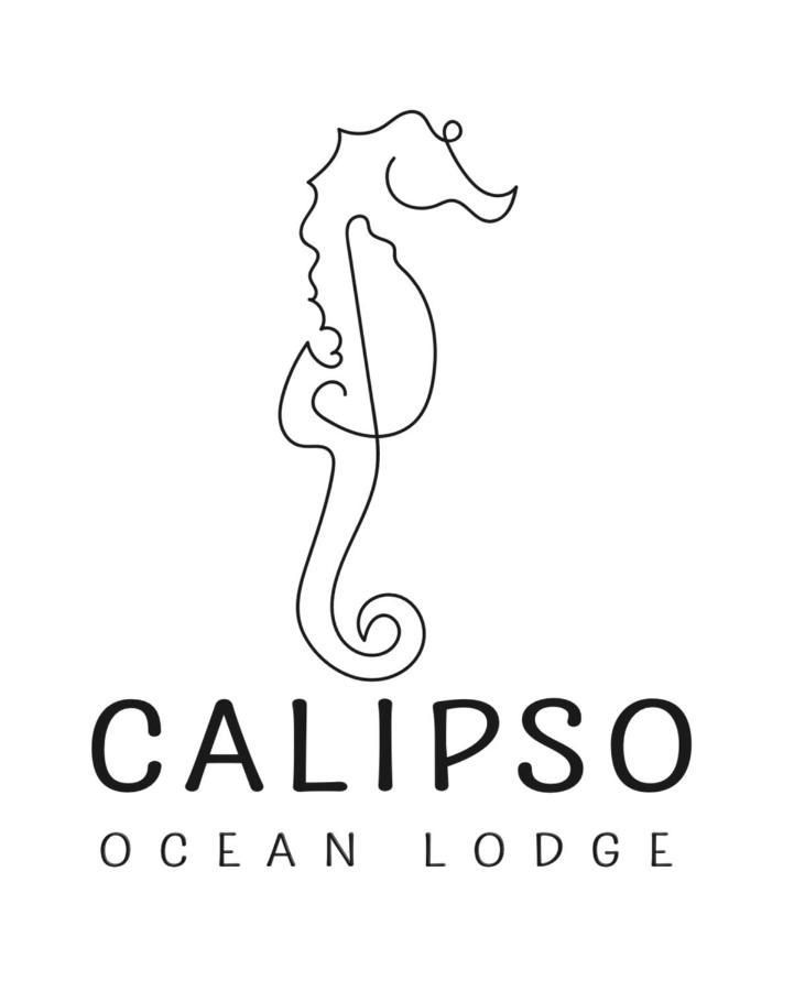 Calipso Ocean Lodge- Avellana Beach Hotel Playa Avellana Zewnętrze zdjęcie