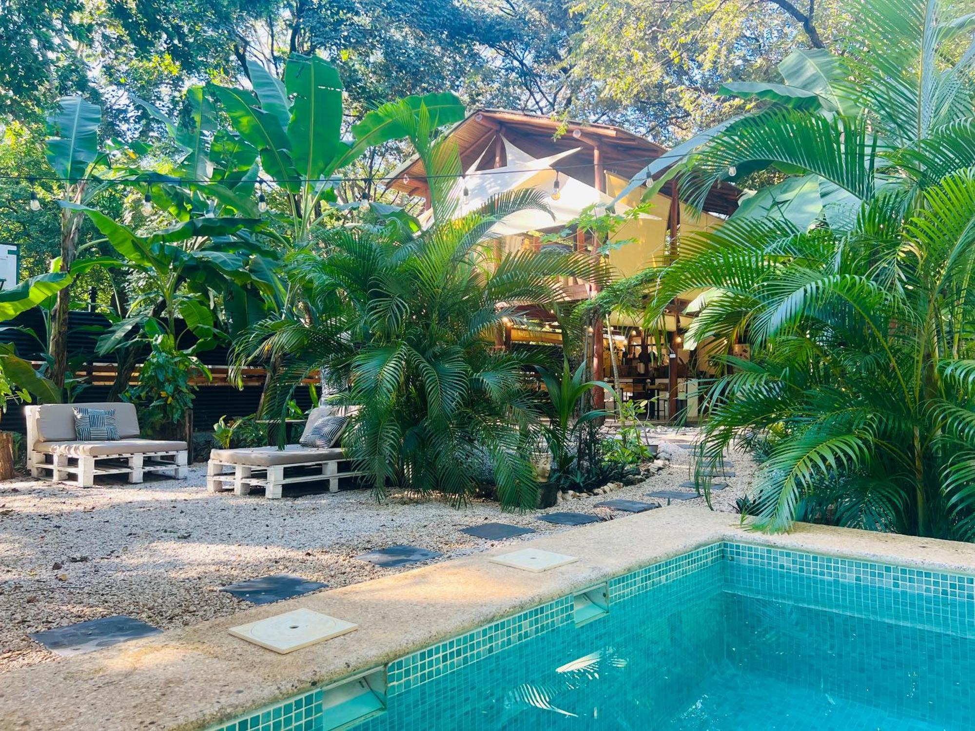 Calipso Ocean Lodge- Avellana Beach Hotel Playa Avellana Zewnętrze zdjęcie