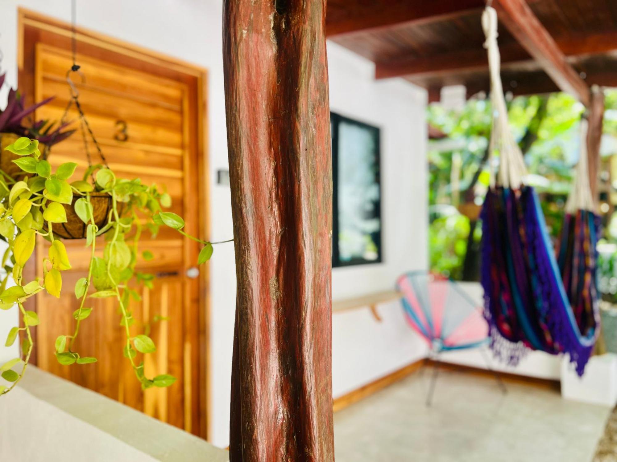 Calipso Ocean Lodge- Avellana Beach Hotel Playa Avellana Zewnętrze zdjęcie