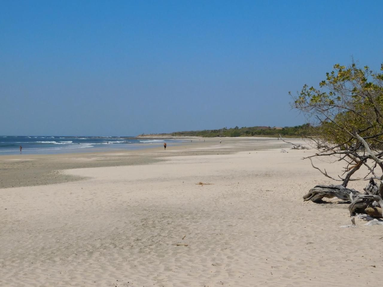 Calipso Ocean Lodge- Avellana Beach Hotel Playa Avellana Zewnętrze zdjęcie